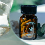 CURCUMIN & GINSENG CBD CAPSULES