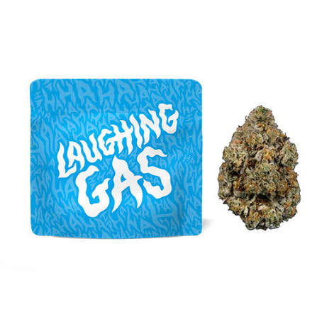 LAUGHING GAS - (HYBRID STRAIN)