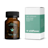 CURCUMIN & GINSENG CBD CAPSULES