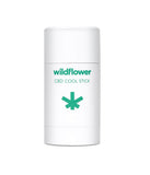 CBD COOL STICK