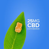 TASTY HEMP CBD GUMMIES - High Grade Vape