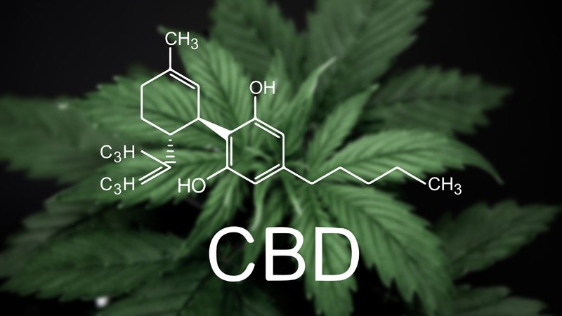 A Quick Chat About CBD