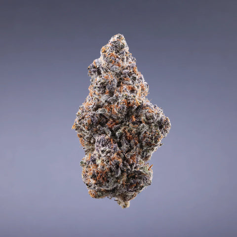 BITCH SLAP - INDICA STRAIN (CONNOISSEUR)