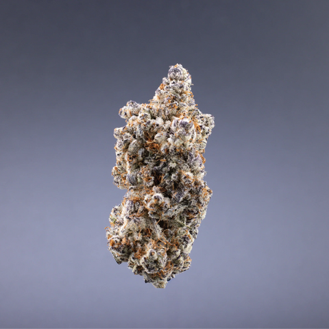 FLEX PANTHER - HYBRID STRAIN (CONNOISSEUR)