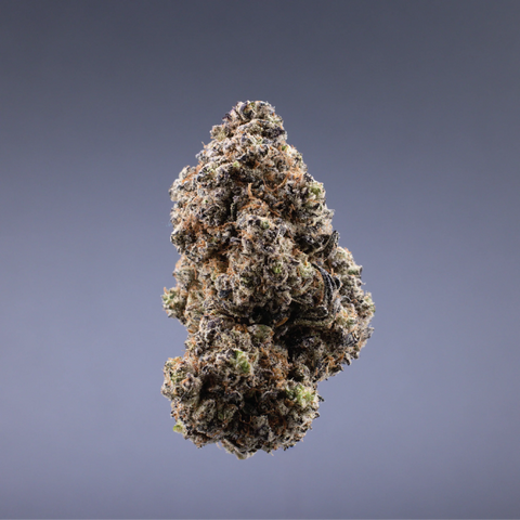 DIRTY SPRITE - SATIVA STRAIN (CONNOISSEUR)