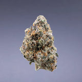 FORMULA 1 - SATIVA STRAIN (CONNOISSEUR)