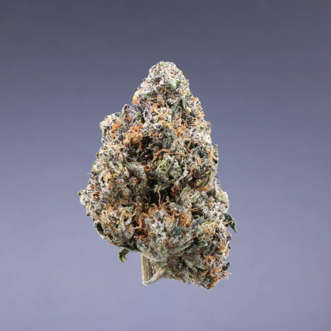 FORMULA 1 - SATIVA STRAIN (CONNOISSEUR)