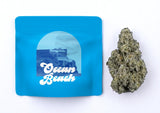 OCEAN BEAST (HYBRID STRAIN)